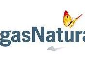 Becas Fundacion Natural Capacitación Negocios España 2010