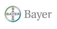 Becas Fundacion Bayer Alemania 2010