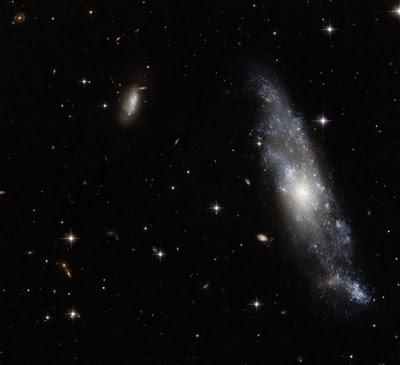 Delicada galaxia espiral en la Hydra