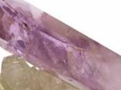 ¿Podemos encontrar diseño inteligente estructuras natu...