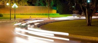 Curso de Reproducción de plantas y manejo de vivero