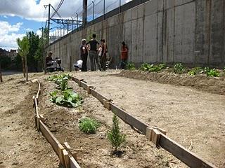 Huerto Urbano