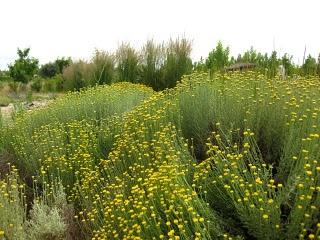 Volando en el Jardín de Nadine