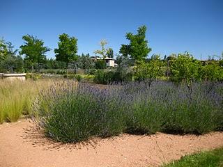 Volando en el Jardín de Nadine