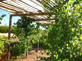 Volando en el Jardín de Nadine