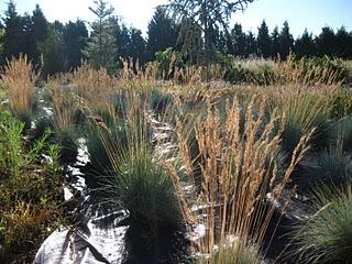 Volando en el Jardín de Nadine