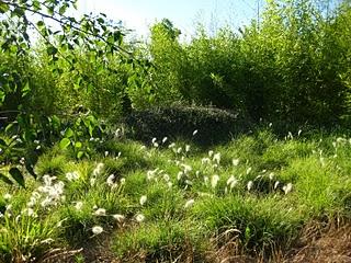 Volando en el Jardín de Nadine