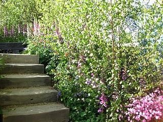 Chelsea Flower Show I