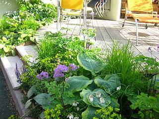 Chelsea Flower Show I Chelsea Flower Show I