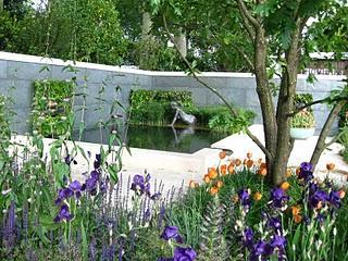 Chelsea Flower Show I