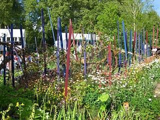 Chelsea Flower Show I