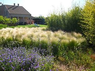 Los Jardines Secretos de Nadine