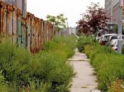 Naturaleza espacios abandonados