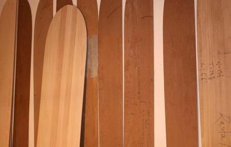 delauz surfboards