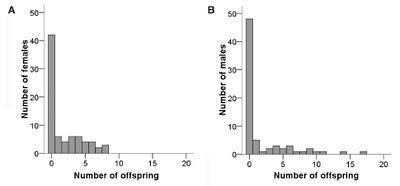 Sexo, grillos y cintas de video