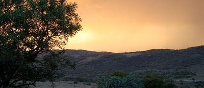 Interiorismo en Sudáfrica