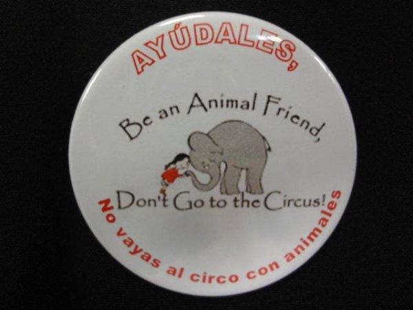 Chapas a favor de los perritos de Adaana