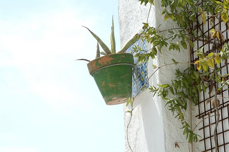 Casa ecológica en Alicante. N6-Urbanarbolismo.
