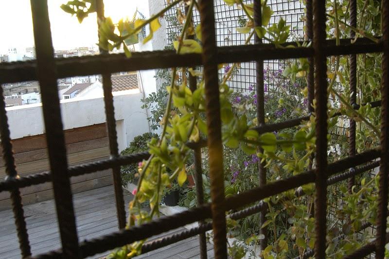 Casa ecológica en Alicante. N6-Urbanarbolismo.