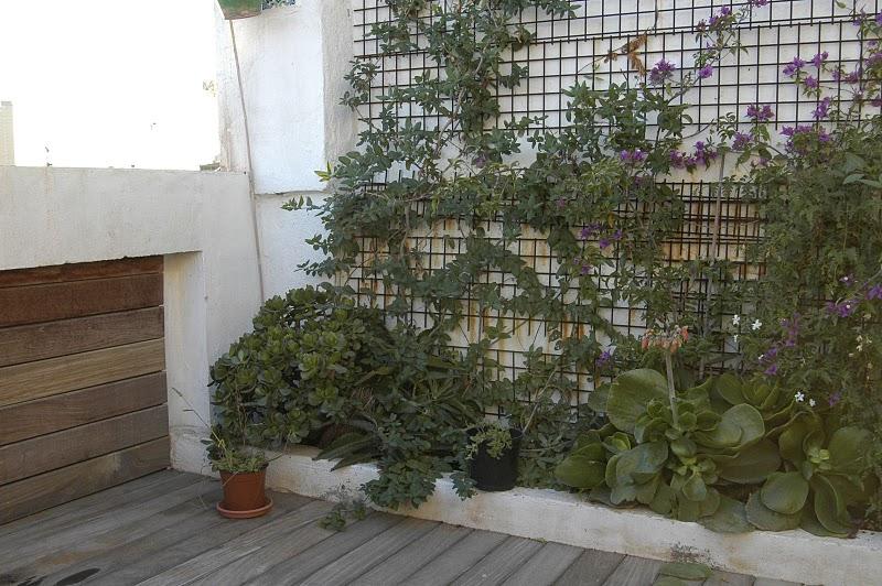 Casa ecológica en Alicante. N6-Urbanarbolismo.