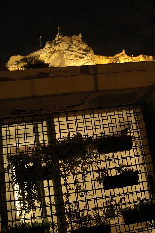 Casa ecológica en Alicante. N6-Urbanarbolismo.