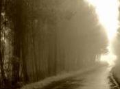 aprendizaje correcto