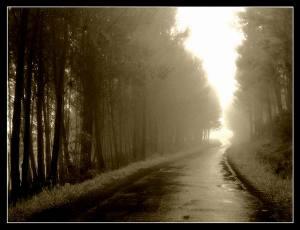 El aprendizaje correcto