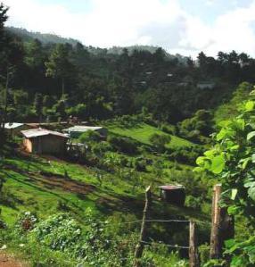 EL CUARTO MUNDO HABLA CASTELLANO