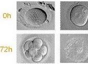 presenta avances científicos materia embrionaria Congreso ESHRE