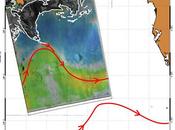 Imagen satélite: vertido crudo llegando Corriente Golfo