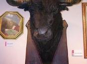 Diano Cortesano