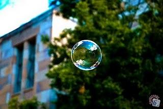 Campus de Santa Lucia, Universidad de Queensland