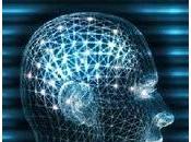 Amplía memoria cerebro: Evernote