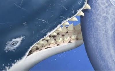 Descubren restos de Leviatán, la ballena asesina peruana