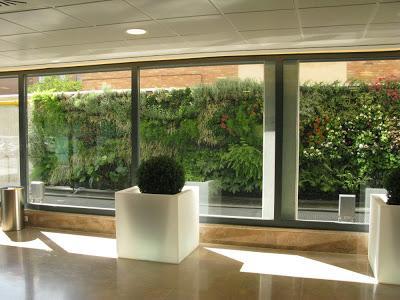 Primer Jardín Hospitalario de Europa, Sevilla