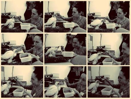 Hoy compartimos ...un lugar donde perderse