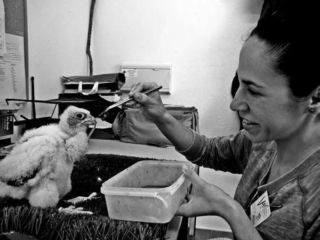 Hoy compartimos ...un lugar donde perderse