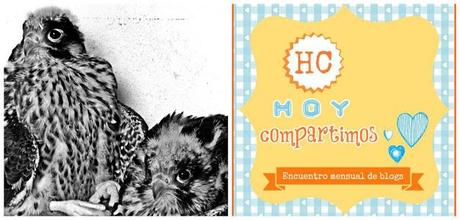 Hoy compartimos ...un lugar donde perderse