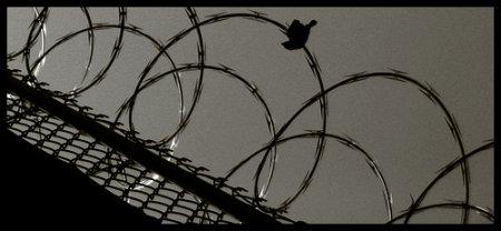 Participaciones Preferentes