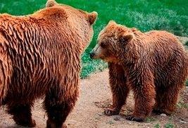 Escapate a Asturias y elige entre más de 400 escapadas temáticas