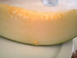 El melón como fuente de salud