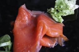 Propiedades del salmón