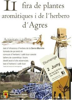 Ferias y Fiestas de junio 2013 en la Provincia de Alicante
