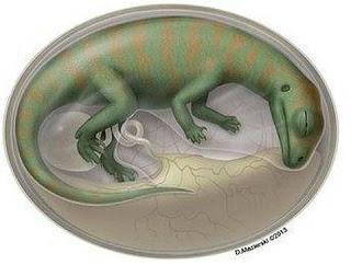 Embriones de Dinosaurio Más Antiguos Jamás Encontrados