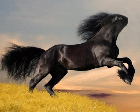 13 Nuevas especies halladas gracias a photoshop