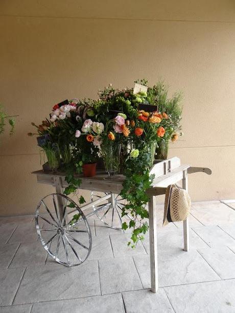 Colección Grace by Joyería Suárez