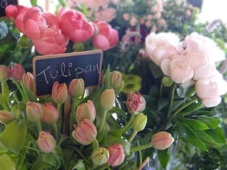 Colección Grace by Joyería Suárez