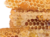 Propiedades Jalea Real