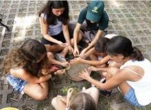 Taller gratuito de huerta