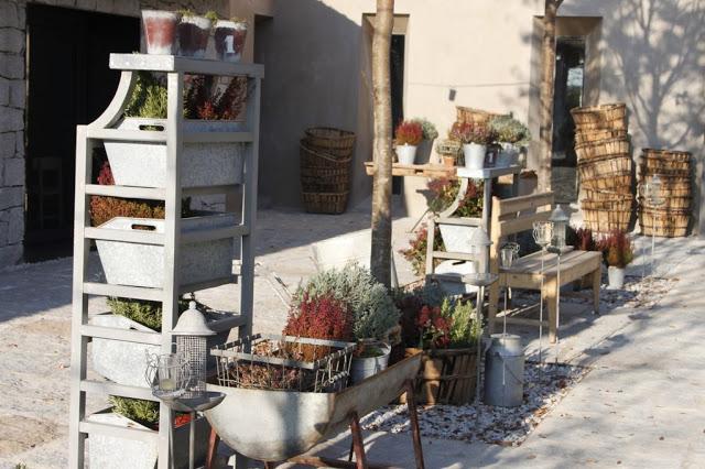 Gastrorecomendación: Filandón